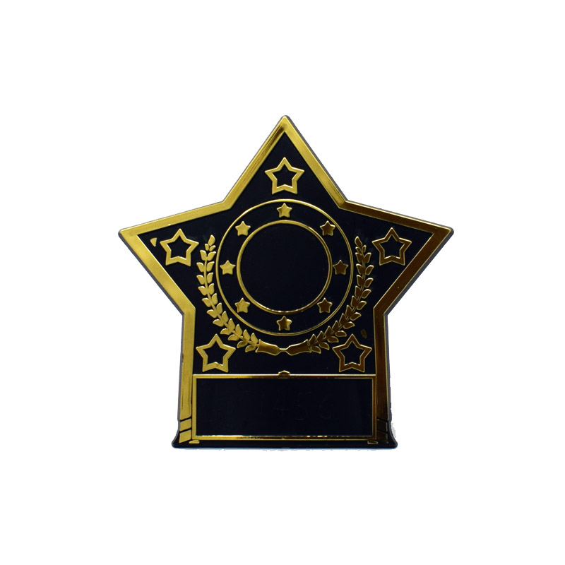 Gold Star Plaque 10cm