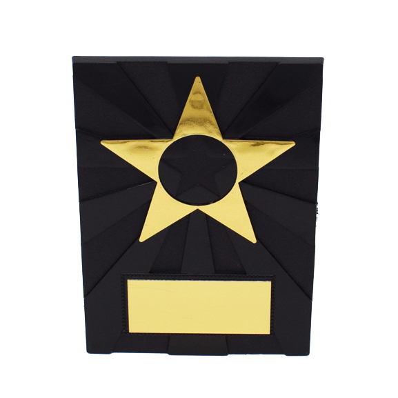 Apex Star Plaque 11.5cm (PP101CG)